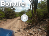 Bonaire