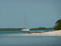 Les jardins de la reine